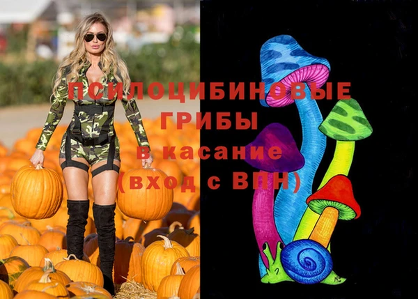 первитин Армянск