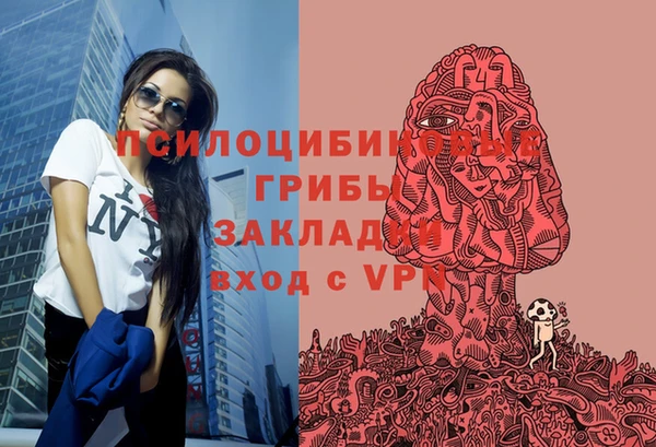 первитин Армянск