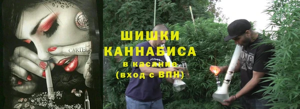 ПСИЛОЦИБИНОВЫЕ ГРИБЫ Осинники