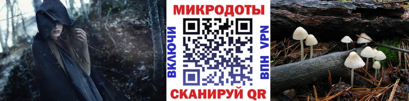 Псилоцибиновые грибы Cubensis  купить наркотик  Нязепетровск 